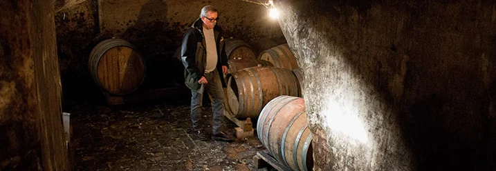 Person in Weinkeller mit Fässern